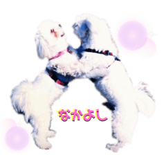 [LINEスタンプ] ユキルナ