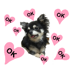 [LINEスタンプ] ペット達♪