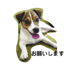 [LINEスタンプ] リリーのスタンプ 2