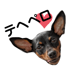 [LINEスタンプ] 名犬サクちゃん2