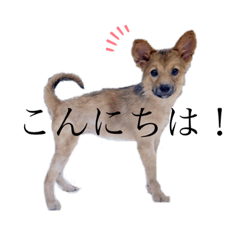 [LINEスタンプ] くるみ2歳