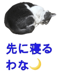 [LINEスタンプ] ネコのみいちゃん
