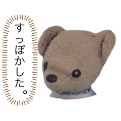 [LINEスタンプ] うちのくまたろうの日常