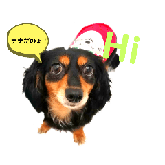 [LINEスタンプ] チワックスのナナchan