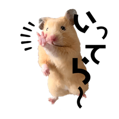 [LINEスタンプ] キンクマハムスターのぽてちゃん