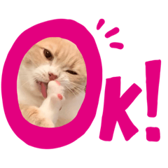 [LINEスタンプ] しえるこ