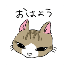 [LINEスタンプ] 猫のいる家族