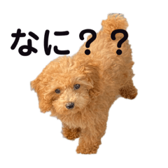 [LINEスタンプ] ロコモコさん
