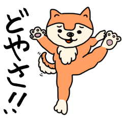 [LINEスタンプ] ニヒルな柴犬