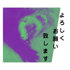 [LINEスタンプ] イタチのアドさん3