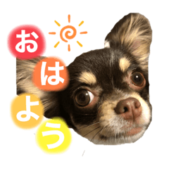 [LINEスタンプ] ちーちゃんすたんぷ①