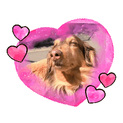 [LINEスタンプ] マック❤