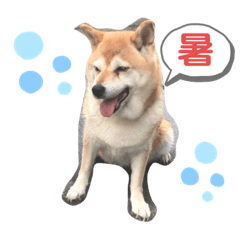 [LINEスタンプ] ゆずちゃんスタンプ パート3