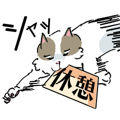 [LINEスタンプ] ノラ猫ブッチ（クロのフォロー編）