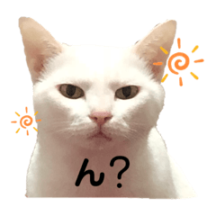 [LINEスタンプ] 3にゃん