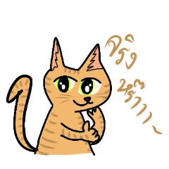 [LINEスタンプ] タイのオレンジ猫