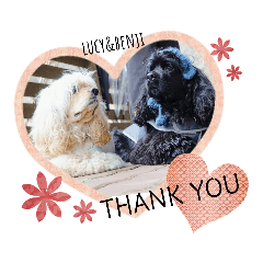 [LINEスタンプ] アメリカンコッカースパニエル♡Benji＆Lucy