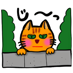 [LINEスタンプ] 毎日猫のたまといっしょ