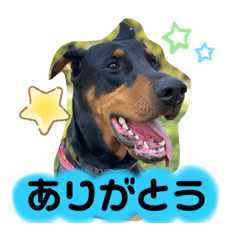 [LINEスタンプ] タイソン⭐