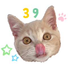 [LINEスタンプ] ♡むぎのスタンプ♡