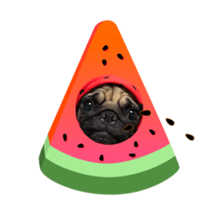 [LINEスタンプ] うちの子‘s