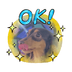 [LINEスタンプ] ココ～♪