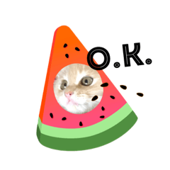 [LINEスタンプ] ネコ＆犬など