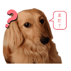 [LINEスタンプ] ツナぴよ③