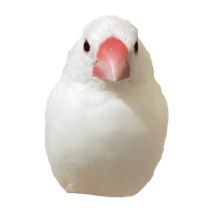 [LINEスタンプ] とっっり