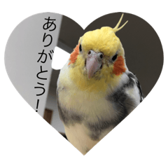 [LINEスタンプ] オカメの方愉快な仲間たち