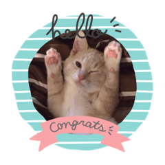[LINEスタンプ] エルくん専用