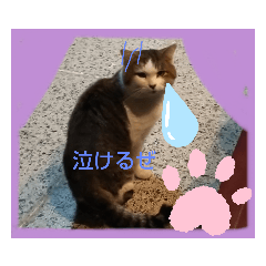 [LINEスタンプ] 私とアニマル