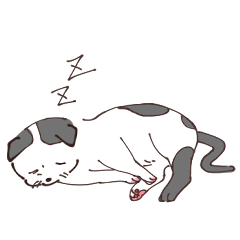 [LINEスタンプ] もふ！子猫ちゃん