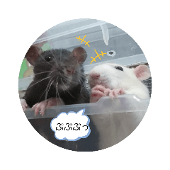 [LINEスタンプ] ラットスタンプ