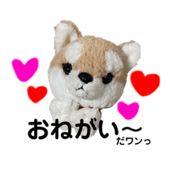 [LINEスタンプ] 今日もかわいいころちゃん