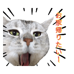 [LINEスタンプ] にゃよいとその仲間たちその2