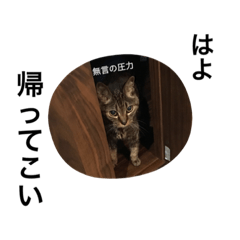 [LINEスタンプ] ねこな毎日3