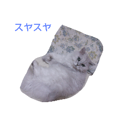 [LINEスタンプ] チンチラシルバーの空