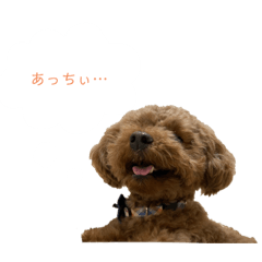 [LINEスタンプ] びびっこ vol.2
