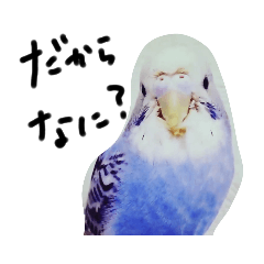 [LINEスタンプ] セキセイインコと猫3