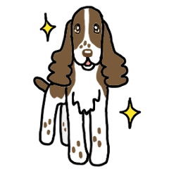 [LINEスタンプ] 犬種別E・スプリンガースパニエル（英語）