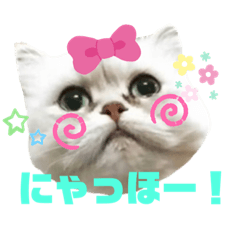 [LINEスタンプ] ククちゃんファミリーの日常スタンプ