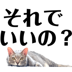 [LINEスタンプ] みこれくしょん❼