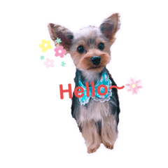 [LINEスタンプ] うちのもなちゃん2