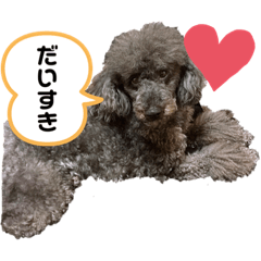 [LINEスタンプ] 毎日のえるさん