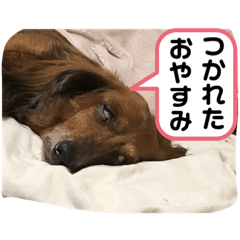 [LINEスタンプ] 愛するチョコ 2