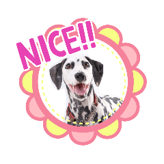 [LINEスタンプ] ダルメシアンのアンディだよーno.7