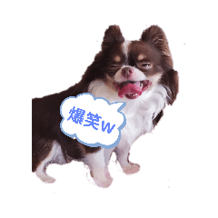 [LINEスタンプ] PANDAᵃⁿᵈKOALA2