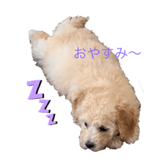 [LINEスタンプ] チャイです！
