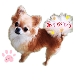 [LINEスタンプ] しずくの基本スタイル2